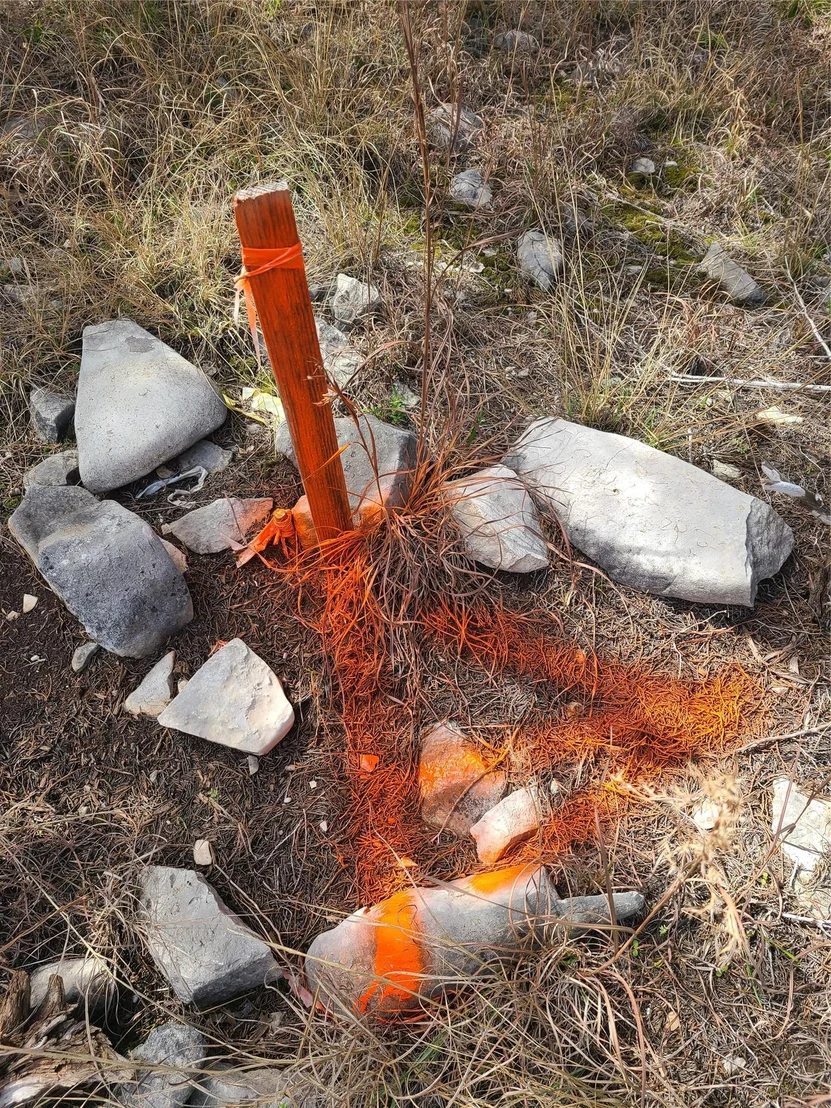 Photo of 20613 Ramrod TRL