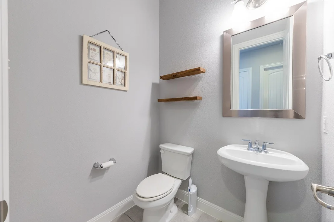 Photo of 107 Orange Mimosa LN
