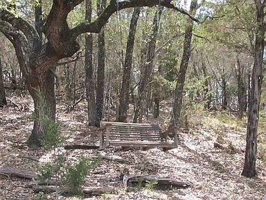 Photo of 350 Bluff RD