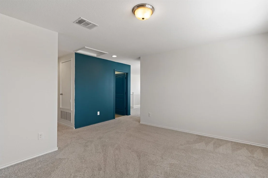 Photo of 804 Water Hyacinth LOOP