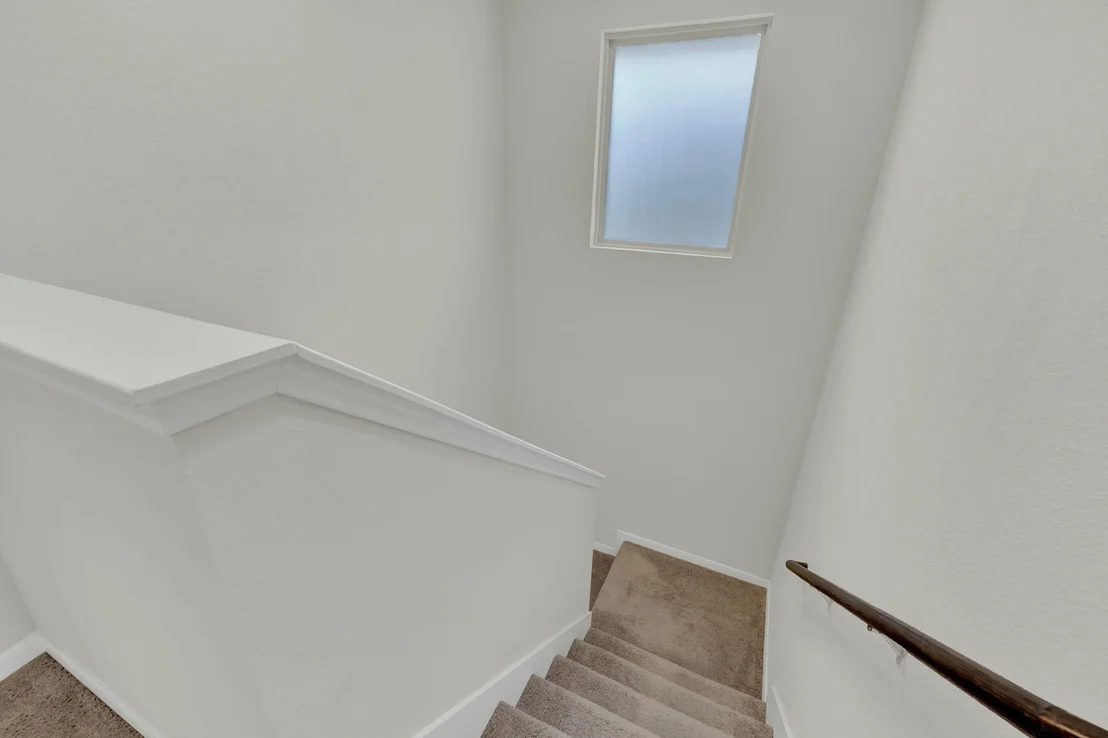 Photo of 360 Witchhazel WAY