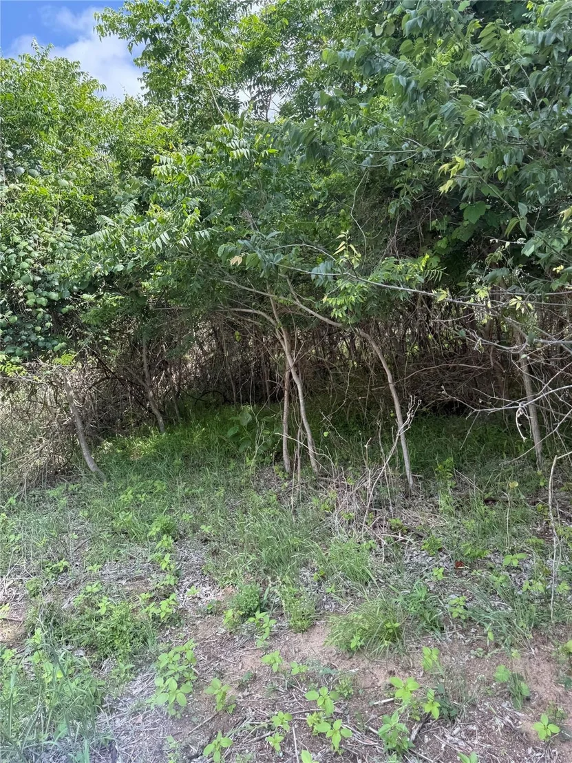 Photo of Lot 959 Riverside DR