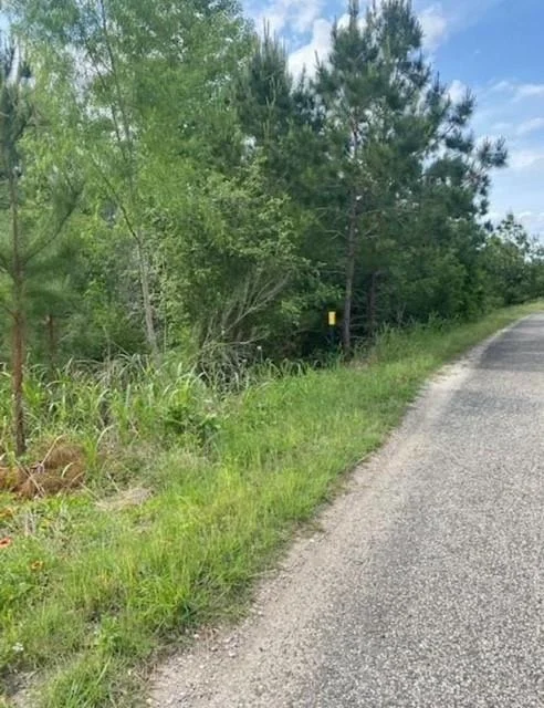 Photo of Lot 4 Kainalu LN