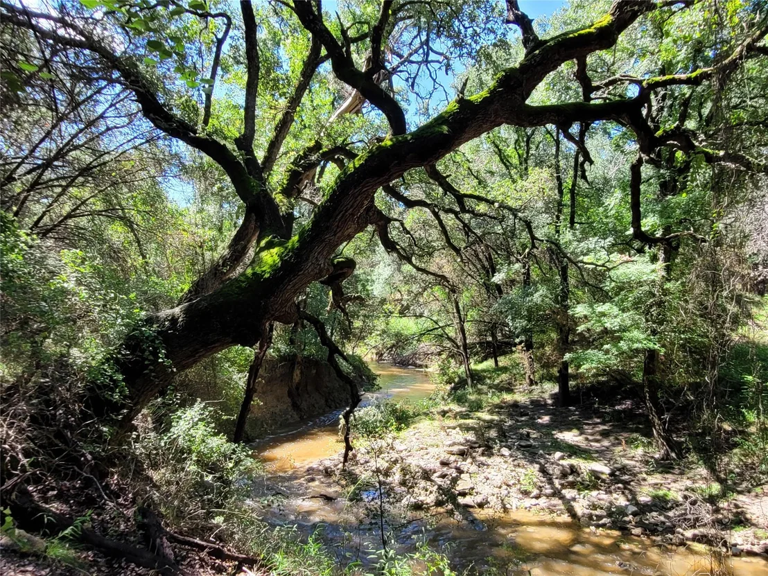 Photo of TBD CR 1139 575 Acres