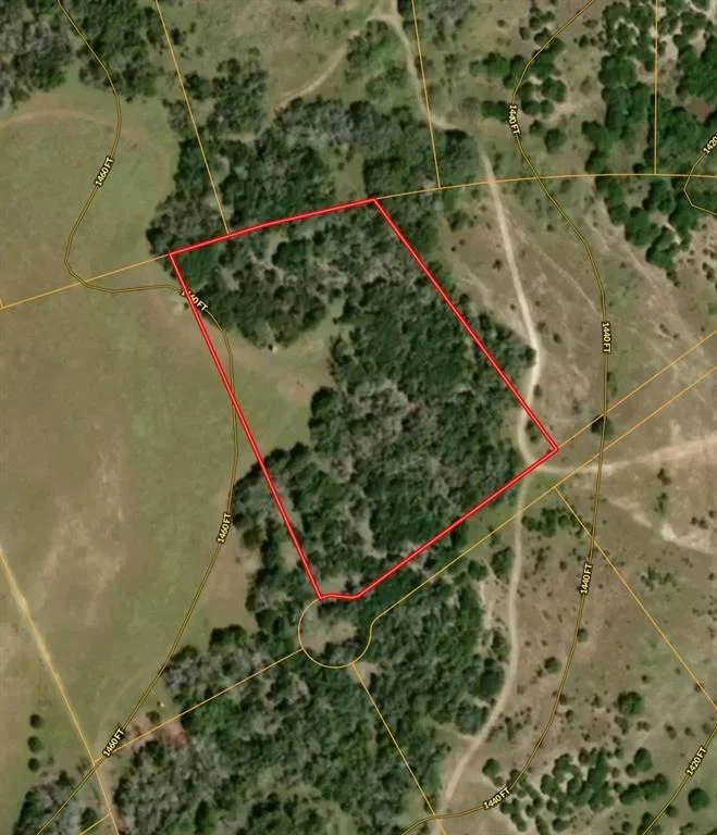 Photo of Lot 69 Mourning Dove LN