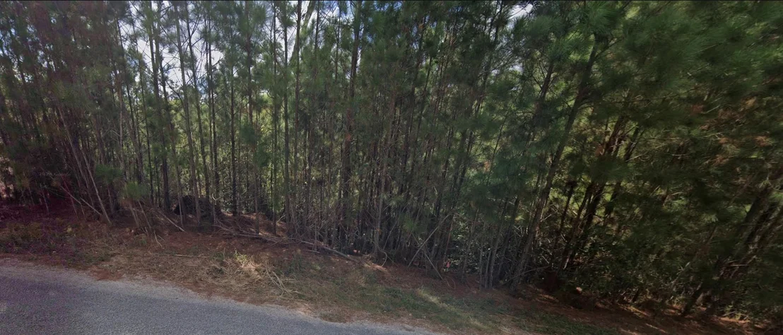 Photo of 211 Alele DR