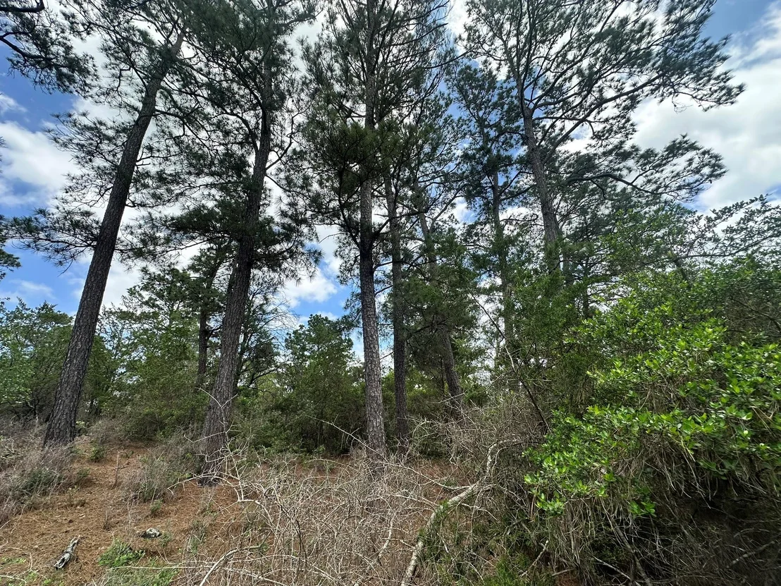 Photo of 217 Helemano DR