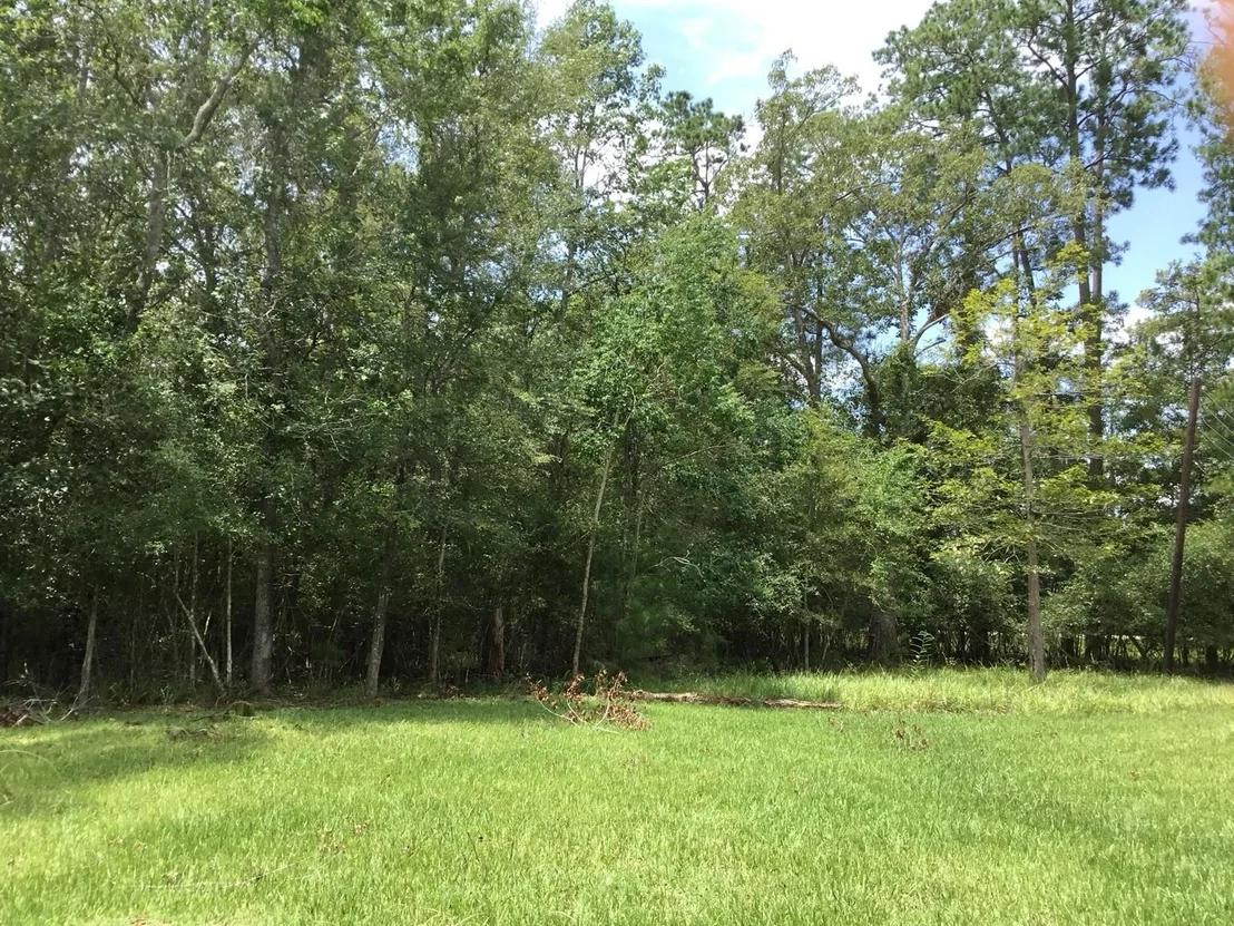 Photo of TBD Echo LN