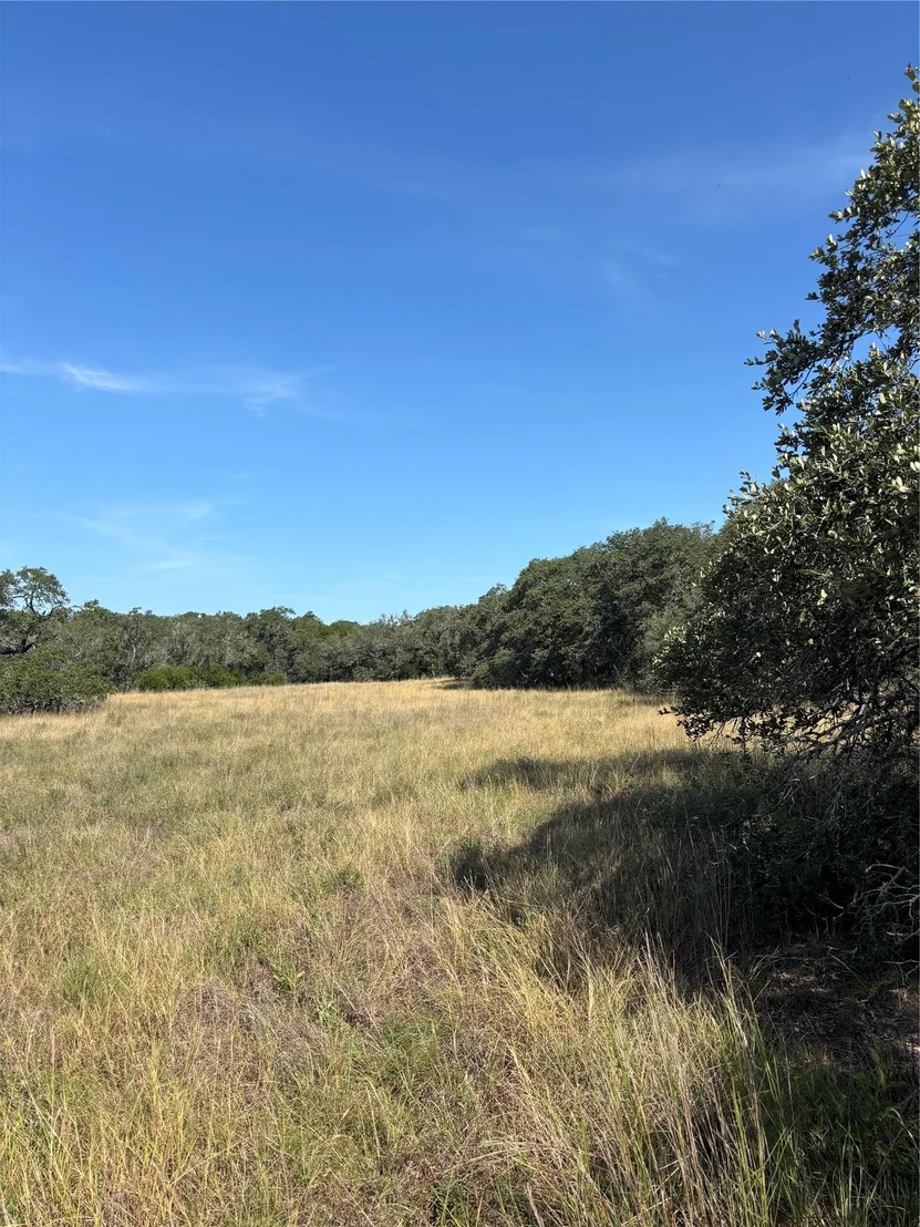 Photo of 955 Upper Balcones RD