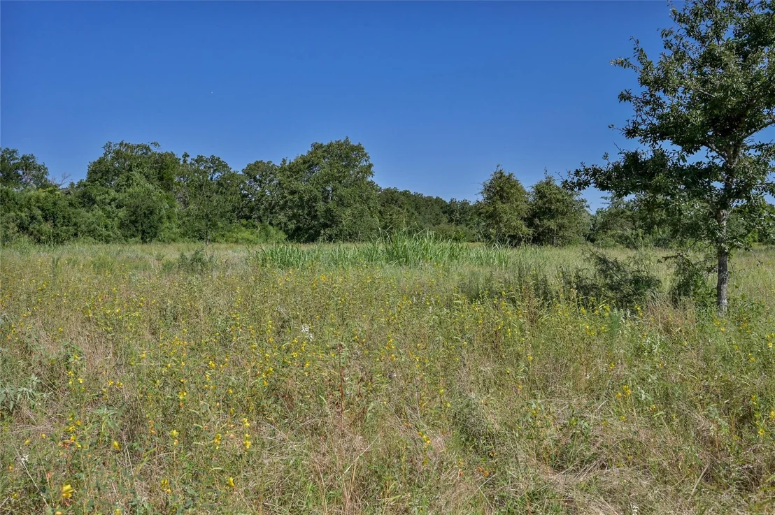 Photo of 681 County Road 474