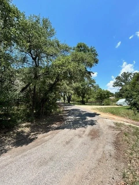Photo of LOT 448 Indian Summer