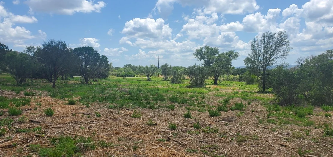 Photo of Tract 6 Lehne LOOP