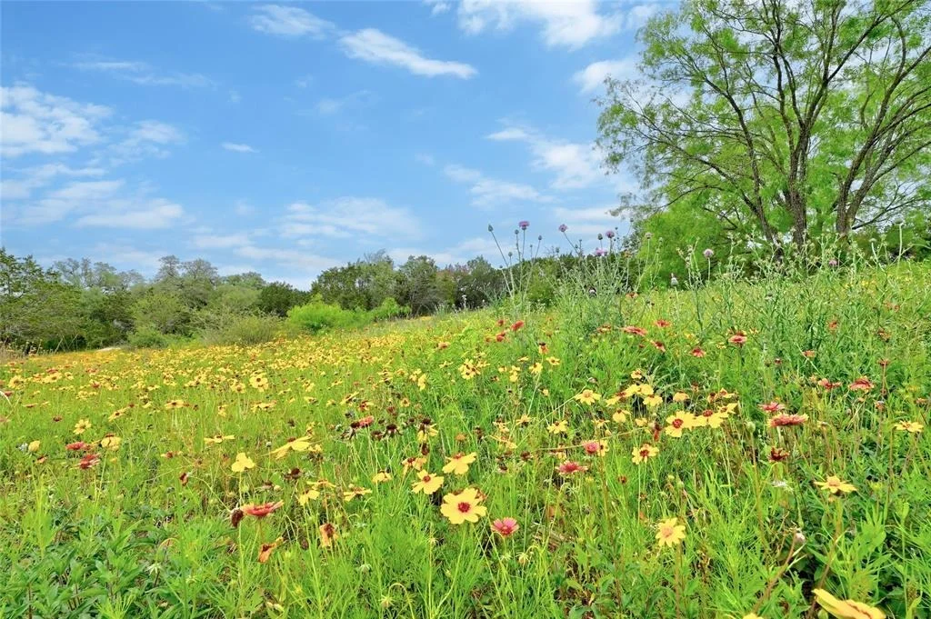 Photo of Lot 18 South CV