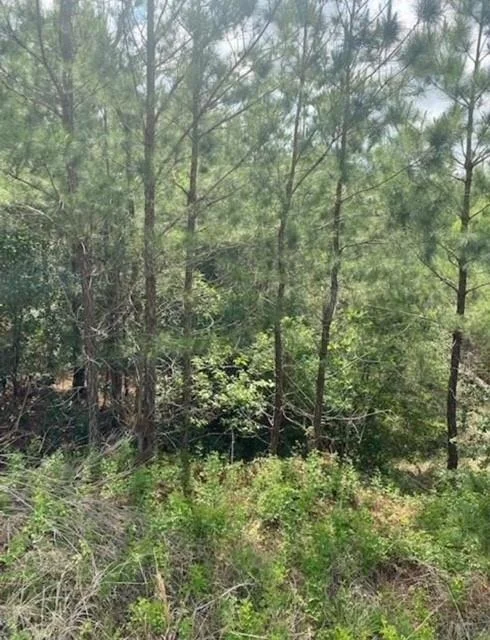Photo of Lot 4 Kainalu LN