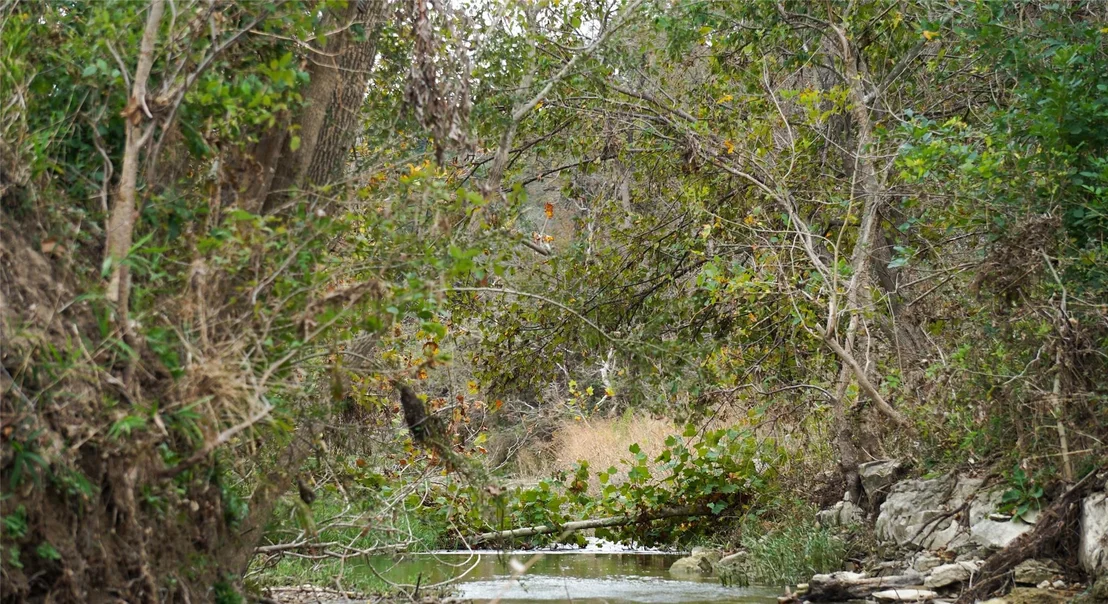 Photo of 000 River RUN