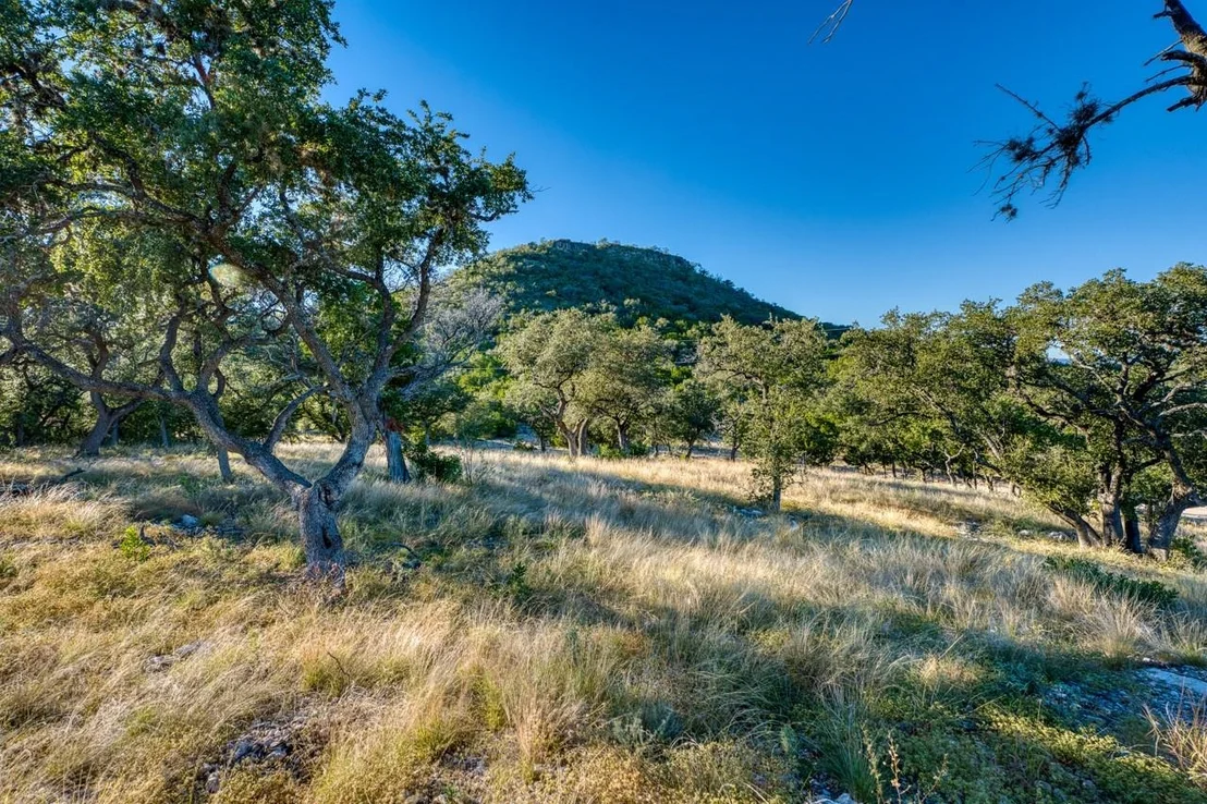 Photo of 32901 Texas Hwy 55