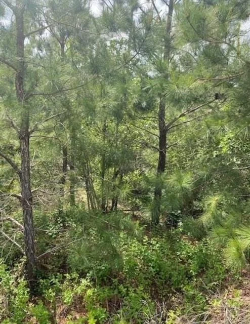 Photo of Lot 4 Kainalu LN