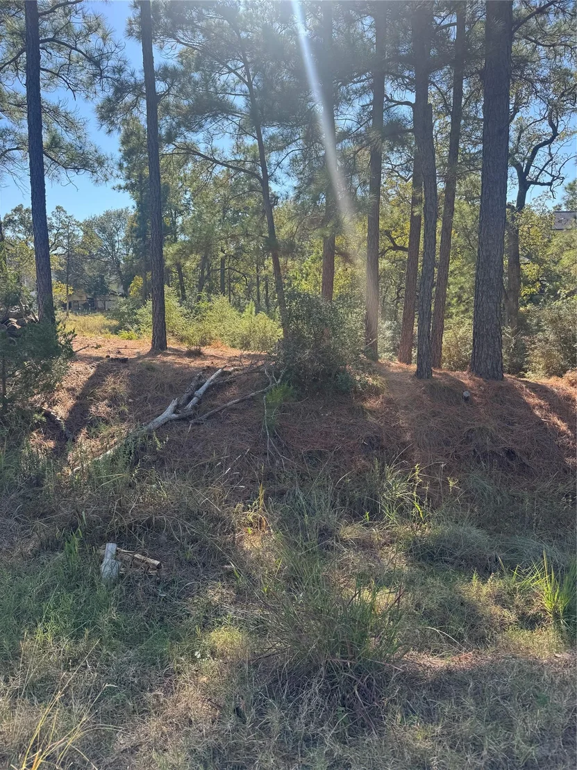 Photo of Lot 97 Kaelepulu DR