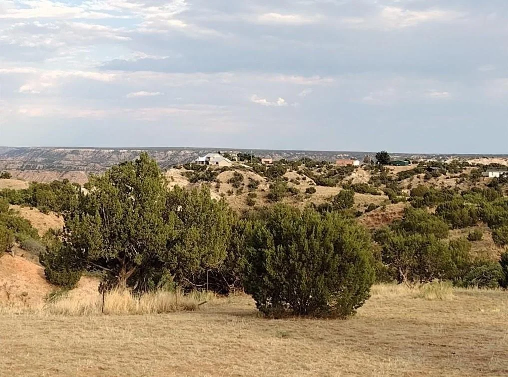 Photo of 10500 Indian Camp TRL
