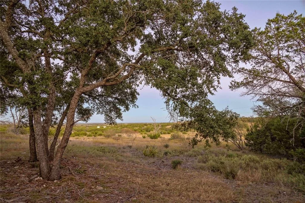 Photo of Lot 69 Mourning Dove LN