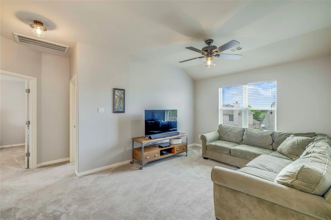 Photo of 1103 Snow Goose