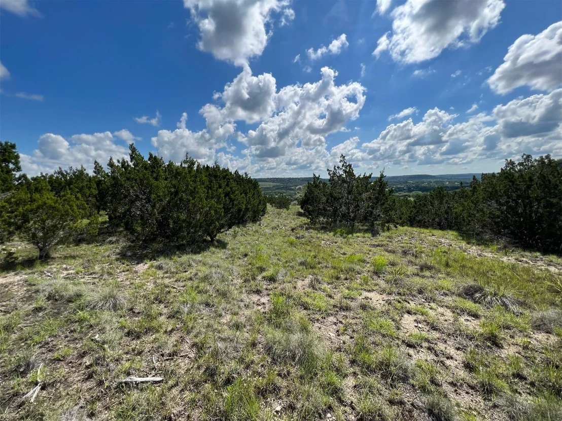 Photo of Lot 653 Wagon Wheel TRL