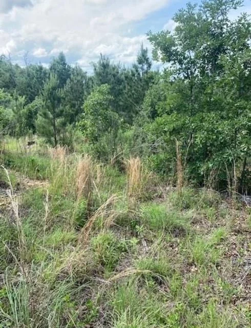 Photo of Lot 4 Kainalu LN