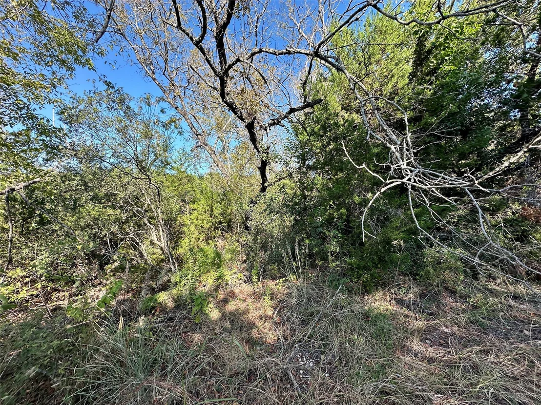 Photo of 9004 Timber TRL