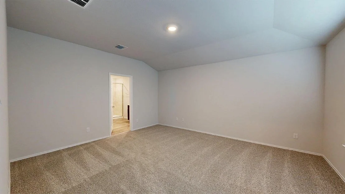 Photo of 505 Hector LOOP