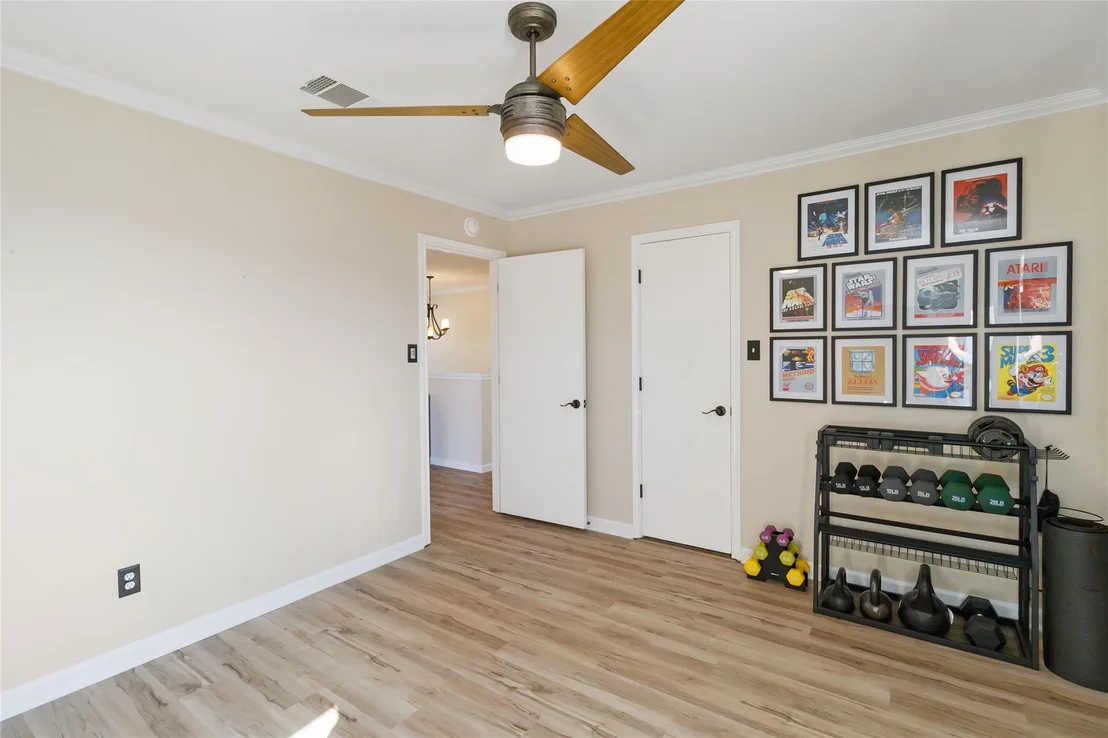 Photo of 203 Remington RUN