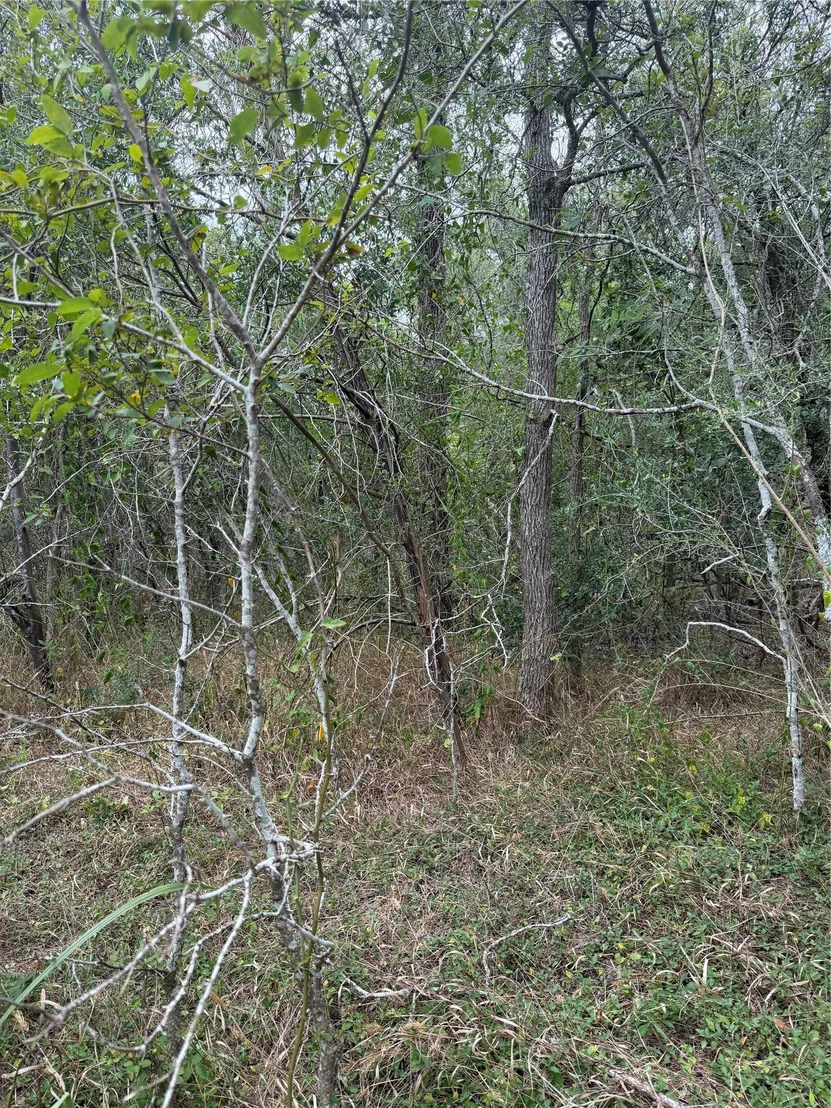 Photo of Lots 451, 452, 453 Heleakala DR
