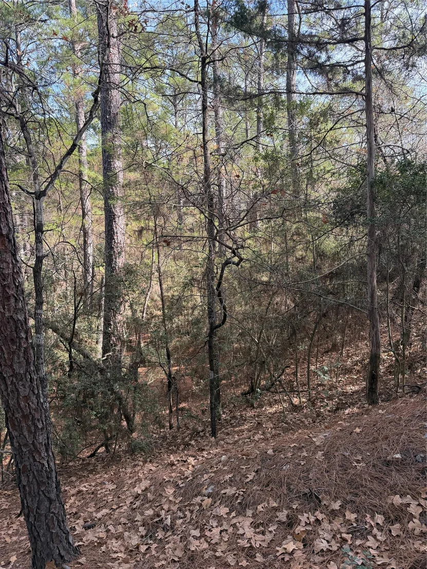 Photo of Lot 266 Wainee DR
