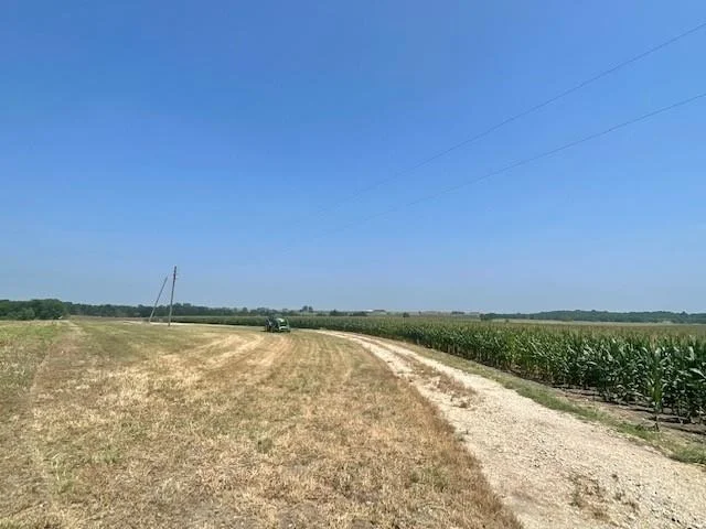 Photo of 1117 County Road 423