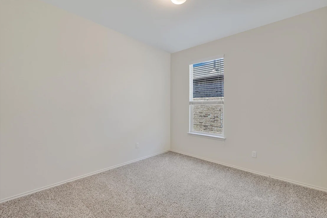 Photo of 136 Stella Gold ST
