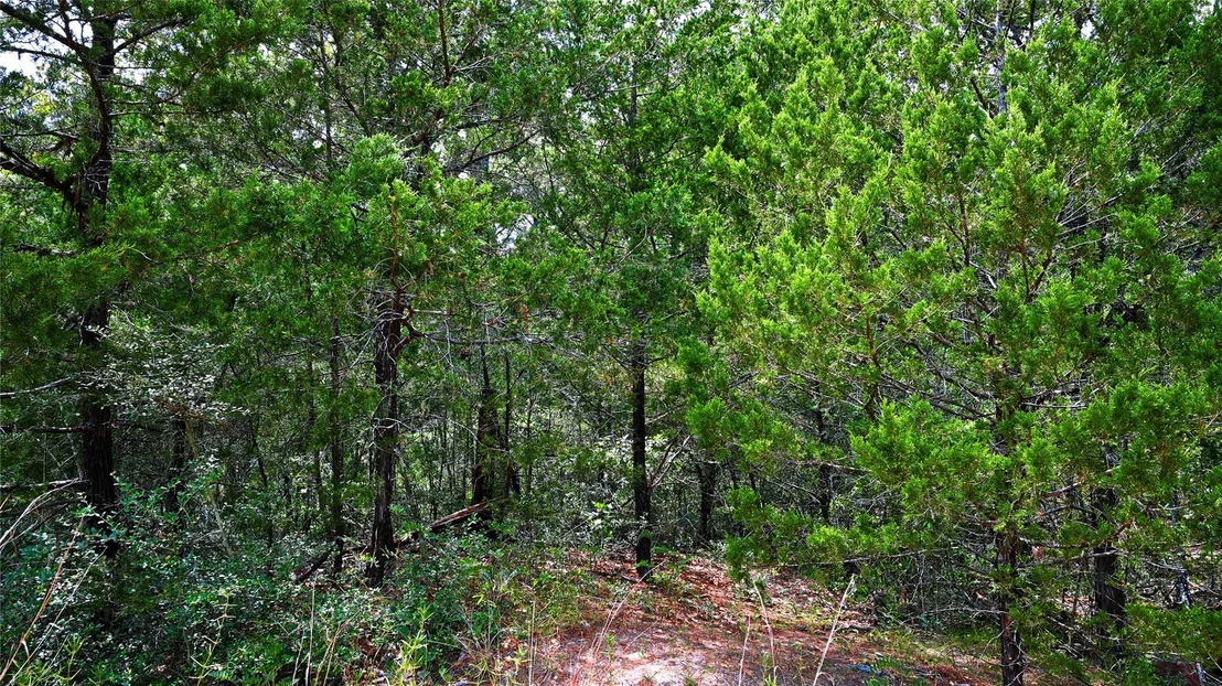 Photo of TBD Modock DR