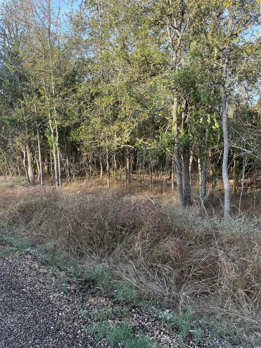 Photo of 172 Helemano DR