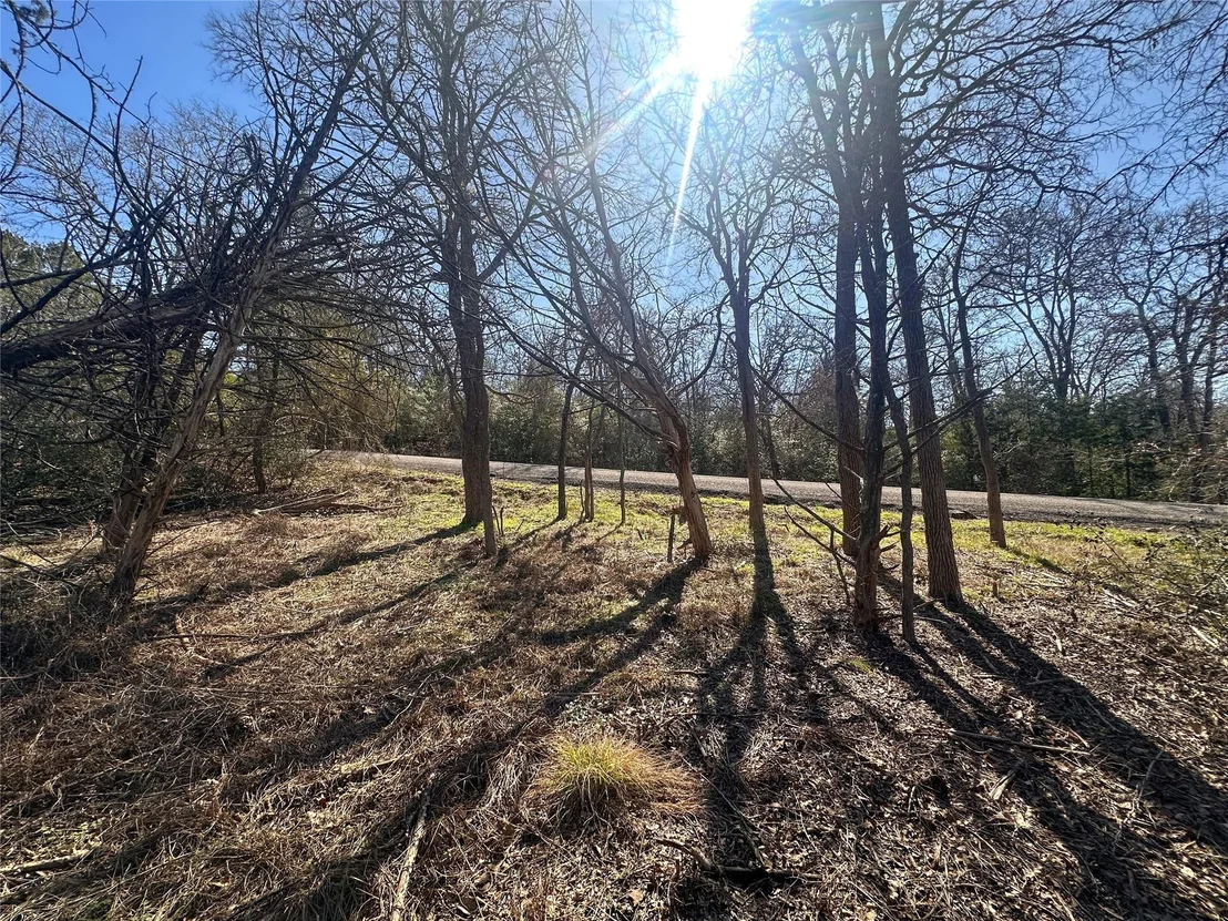 Photo of 250 Iva LN