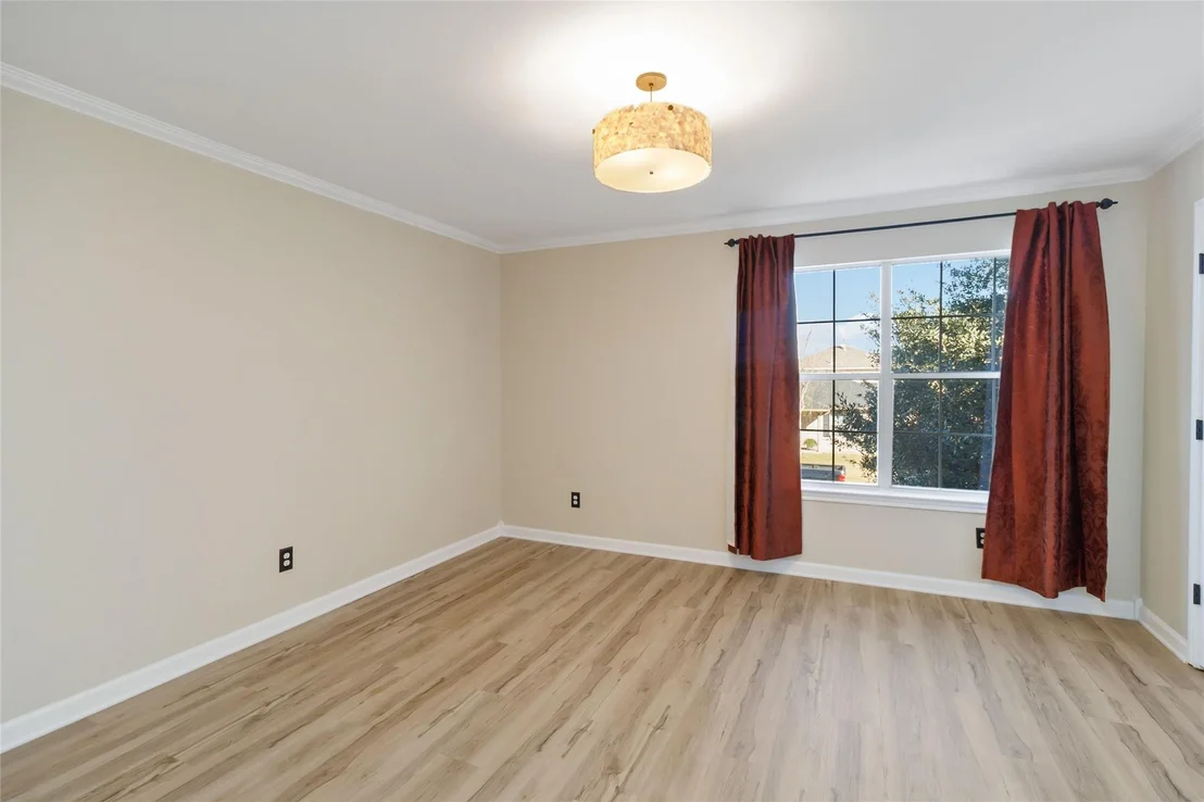 Photo of 203 Remington RUN