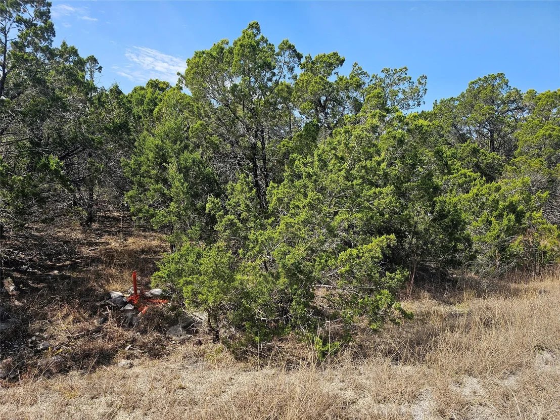 Photo of 20613 Ramrod TRL