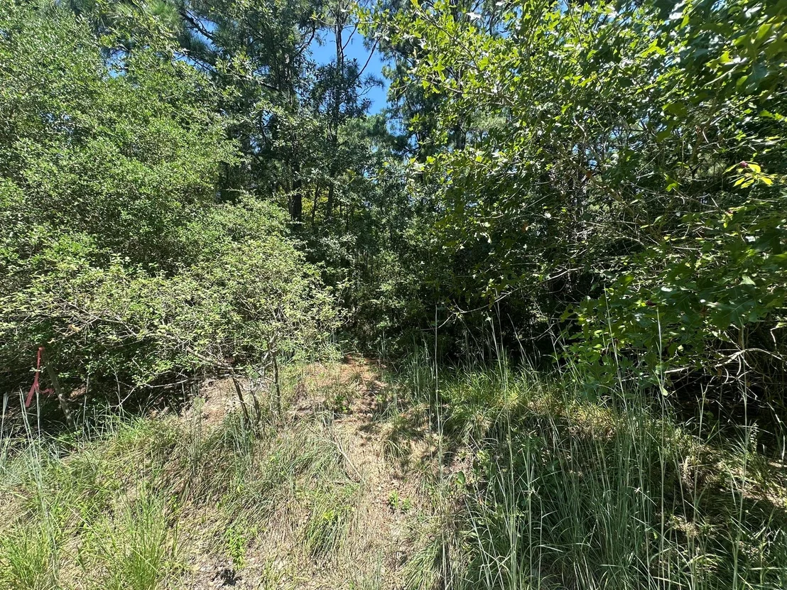 Photo of LOT 46 Kamakoa LN
