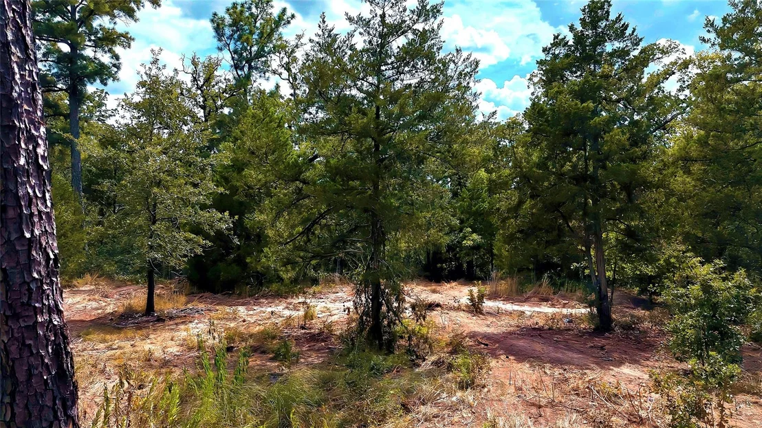Photo of TBD Modock DR