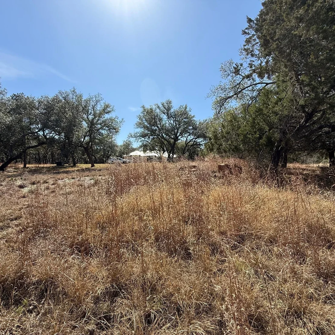 Photo of 210 Cactus COR