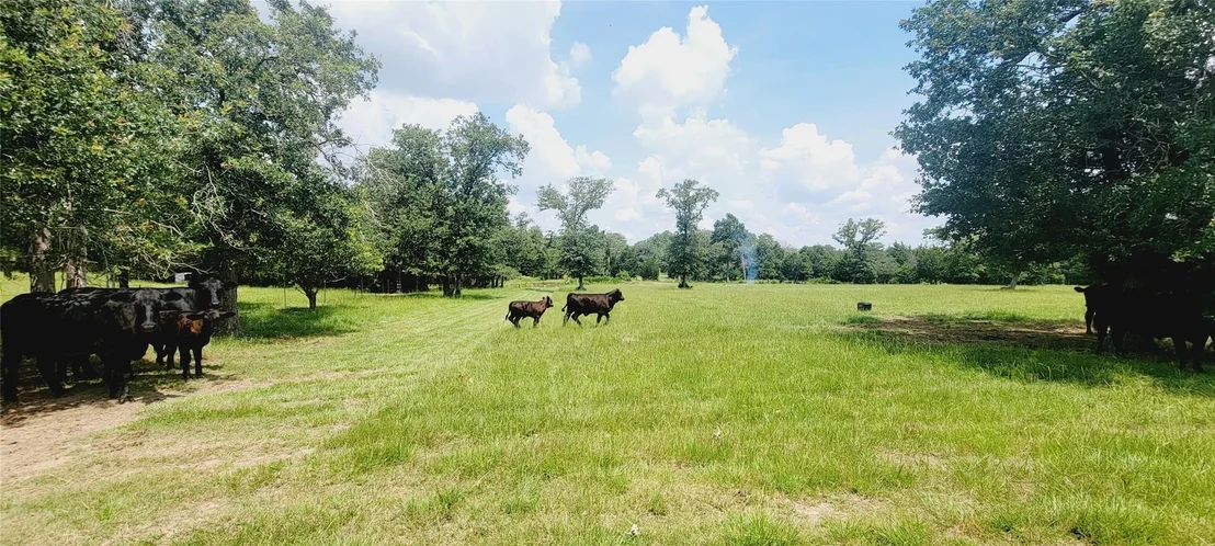 Photo of 3321 County Road 457