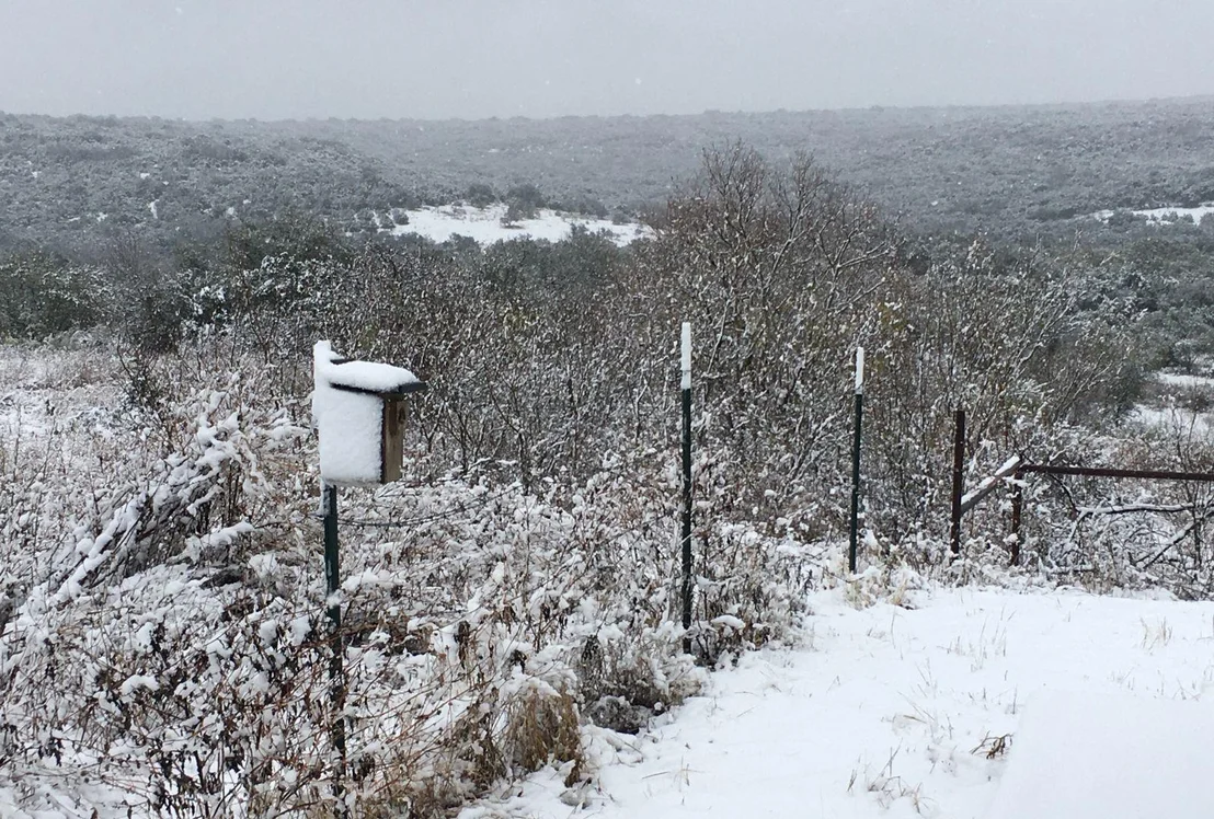 Photo of 12516 Wire RD