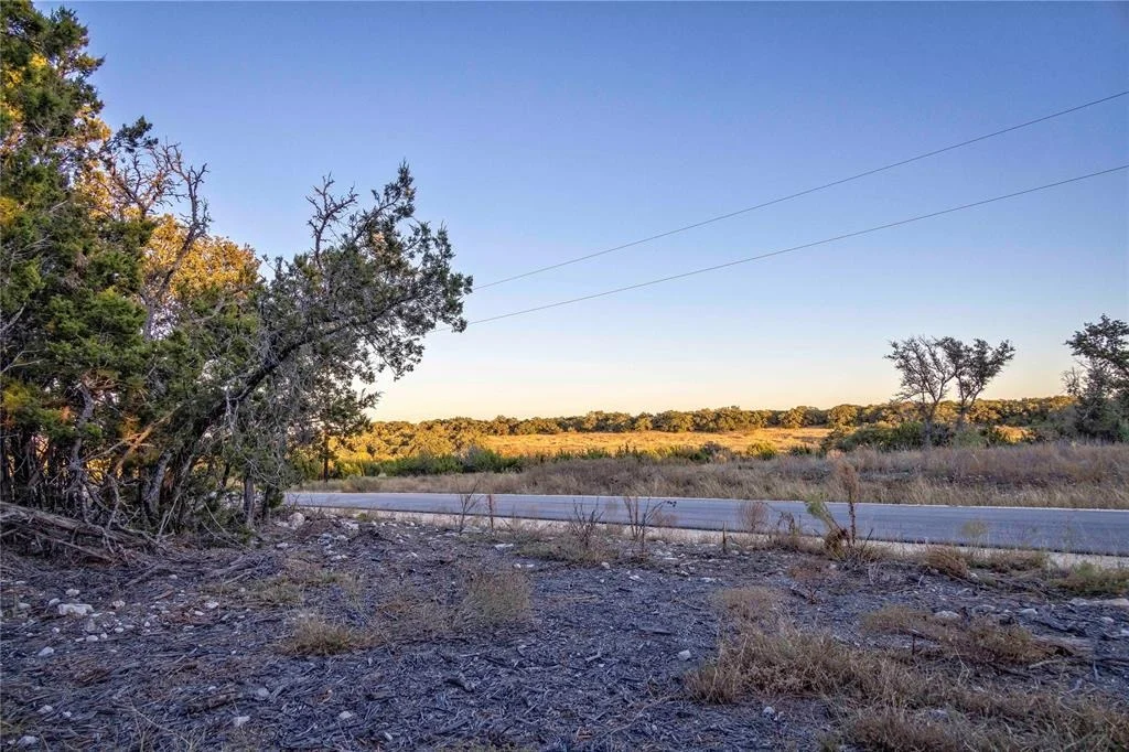 Photo of Lot 69 Mourning Dove LN