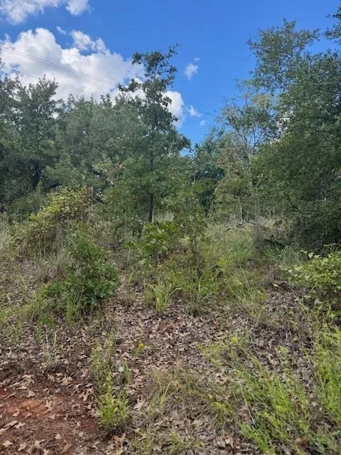 Photo of 261 Flaming Oak DR