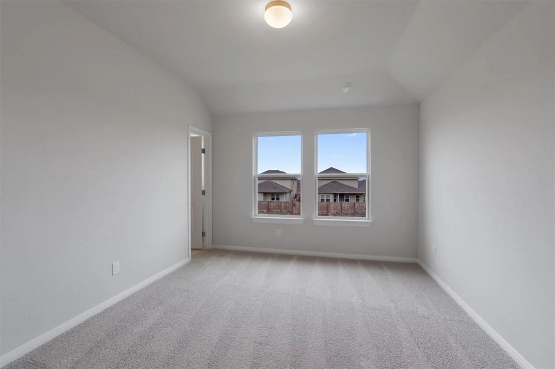 Photo of 313 Stellar Wind DR
