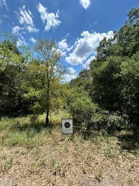 Photo of LOT 448 Indian Summer