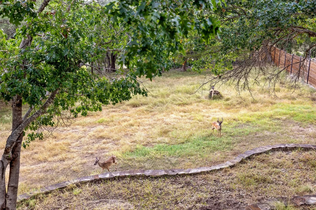 Photo of 5731 Pool Canyon CV