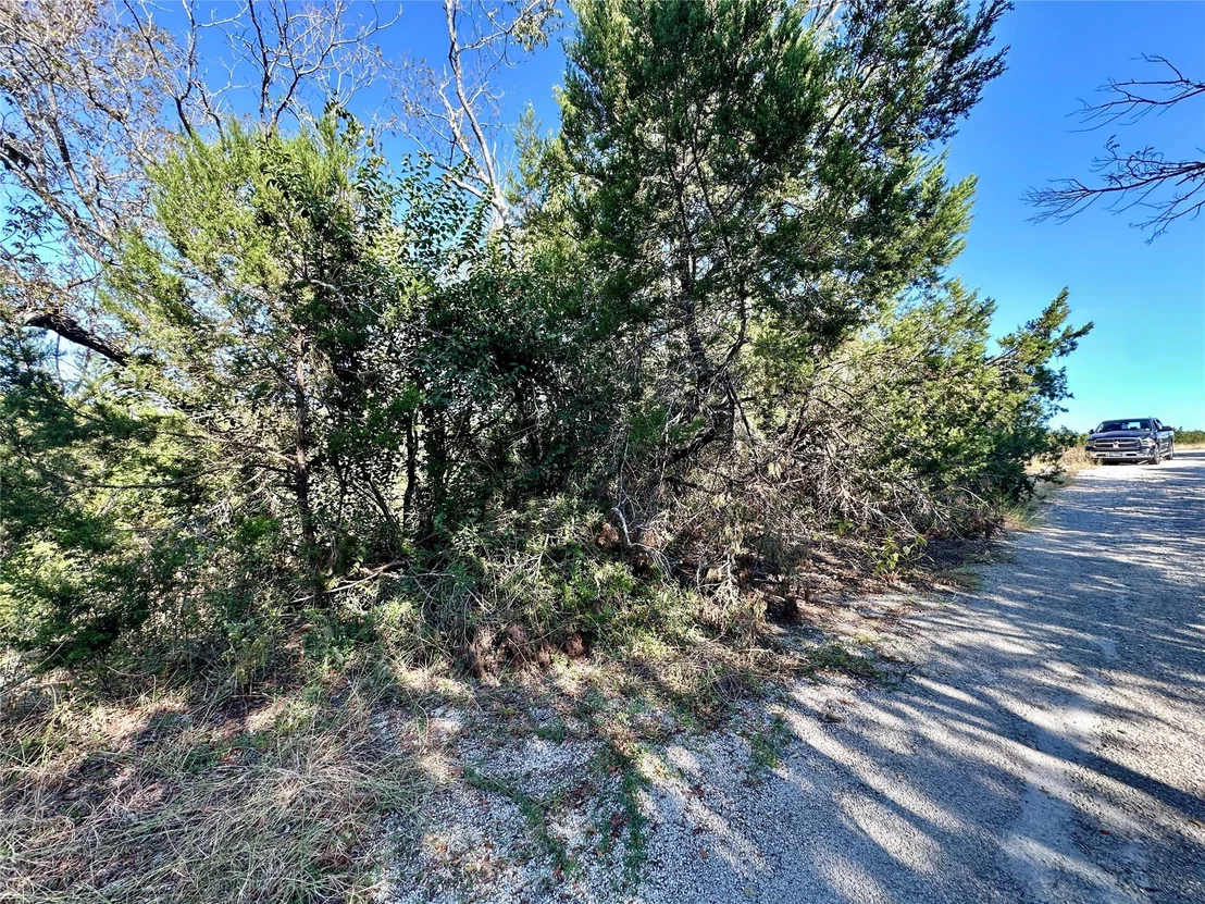 Photo of 9004 Timber TRL